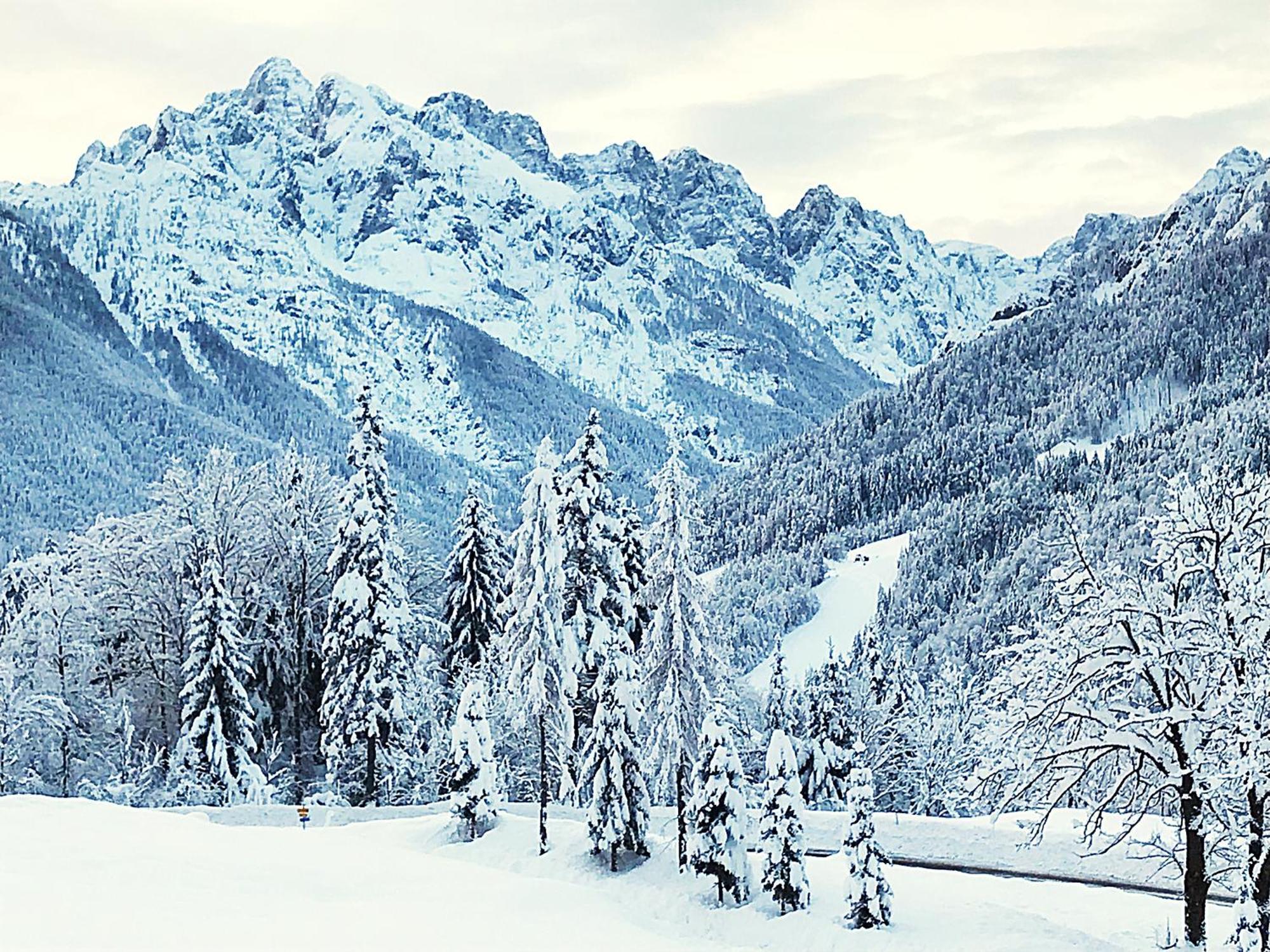 Pr'Gavedarjo Eco Heritage B&B Kranjska Gora Esterno foto